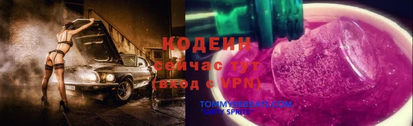 первитин Гусев