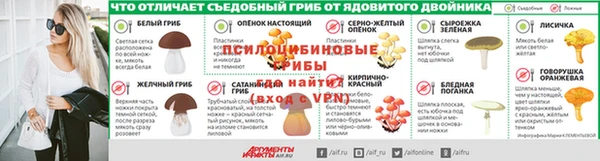 первитин Гусев