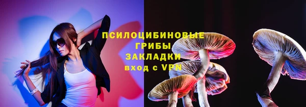винт Гусиноозёрск