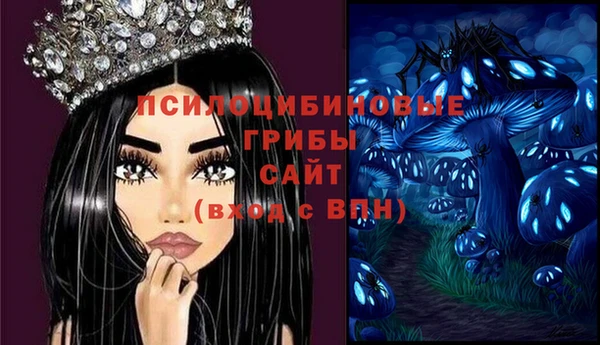 сатива Гусь-Хрустальный