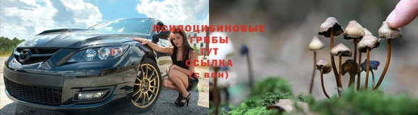 сатива Гусь-Хрустальный