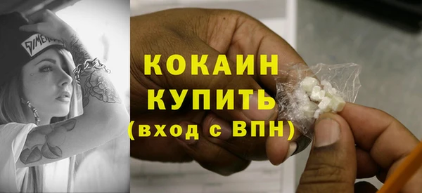 сатива Гусь-Хрустальный
