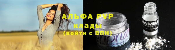 винт Гусиноозёрск