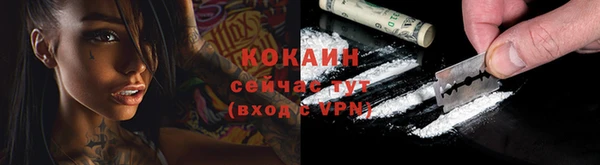 винт Гусиноозёрск
