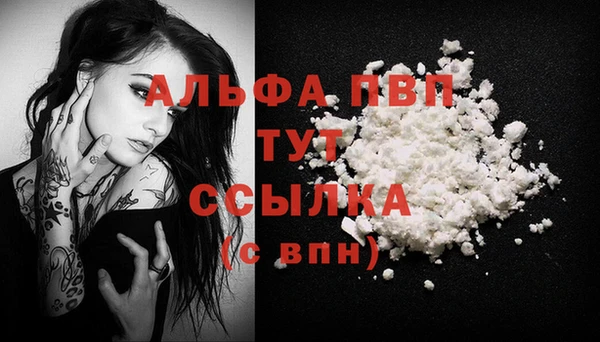сатива Гусь-Хрустальный