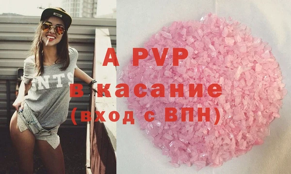 сатива Гусь-Хрустальный