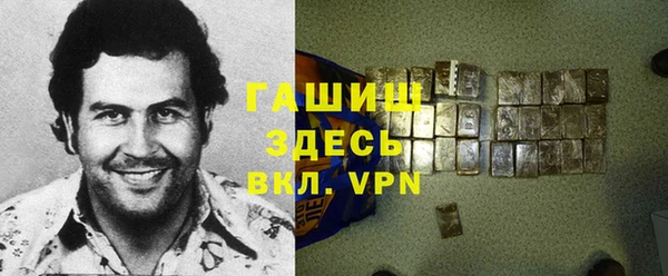 первитин Гусев