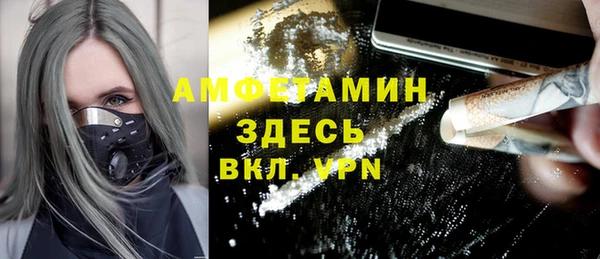 первитин Гусев