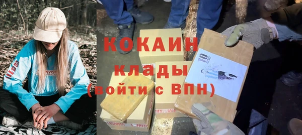 первитин Гусев