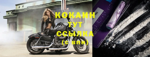 сатива Гусь-Хрустальный