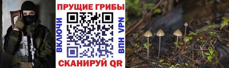 Псилоцибиновые грибы Magic Shrooms  Волгодонск 