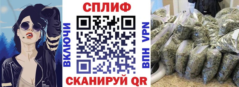 blacksprut ссылки Волгодонск Бошки марихуана планчик